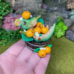 Oranges Dragon