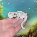 PREORDER - Falkor
