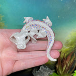 PREORDER - Falkor