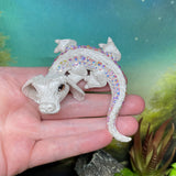 PREORDER - Falkor
