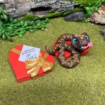 Chocolate Box Snake
