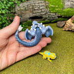 PREORDER - Zym & Bait
