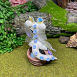 Butterfly Dragon & Eggs