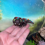 Cosmic Brownie Croc