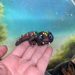 Cosmic Brownie Croc