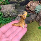 Baby Parasaurolophus