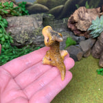 Baby Parasaurolophus