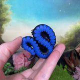 Colourshift Serpent