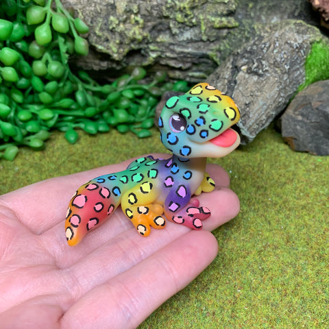 Rainbow Leopard Gecko