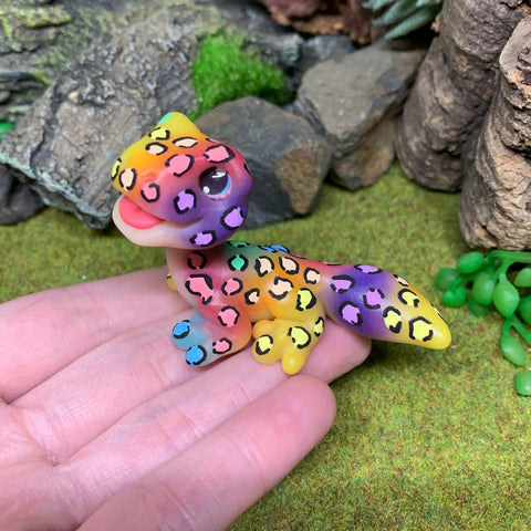 Rainbow Leopard Gecko